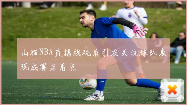 山猫NBA直播线观看引发关注球队表现成赛后看点