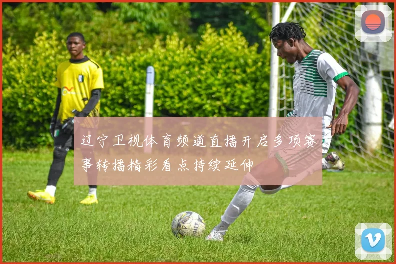 辽宁卫视体育频道直播开启多项赛事转播精彩看点持续延伸