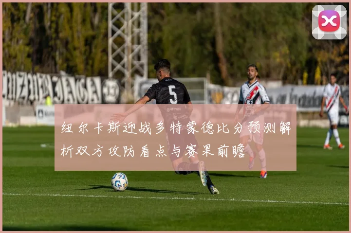 纽尔卡斯迎战多特蒙德比分预测解析双方攻防看点与赛果前瞻