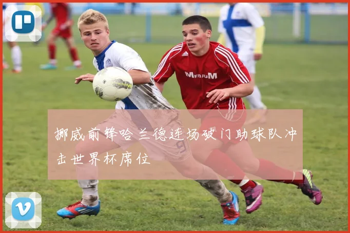 挪威前锋哈兰德连场破门助球队冲击世界杯席位