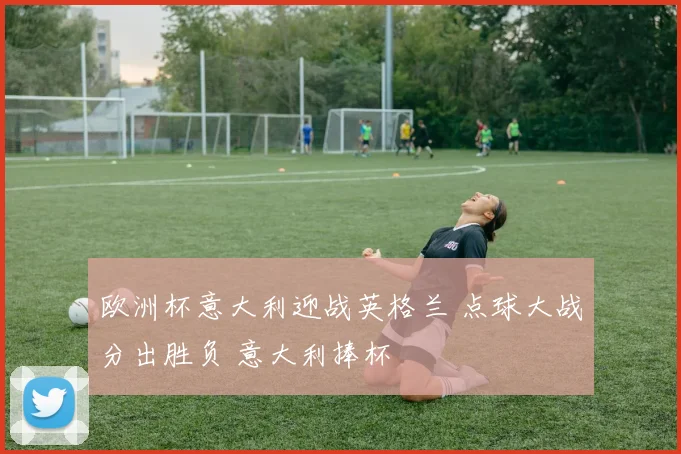 欧洲杯意大利迎战英格兰 点球大战分出胜负 意大利捧杯