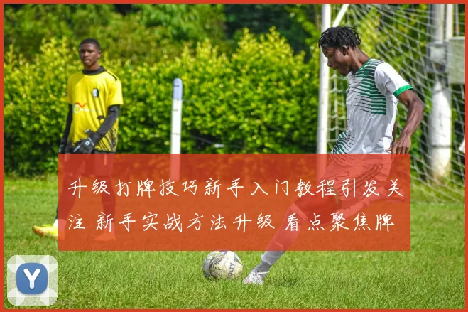 升级打牌技巧新手入门教程引发关注 新手实战方法升级 看点聚焦牌局提升