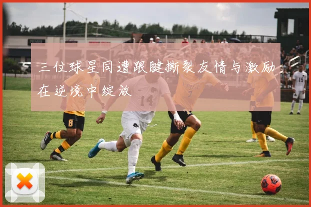 三位球星同遭跟腱撕裂友情与激励在逆境中绽放