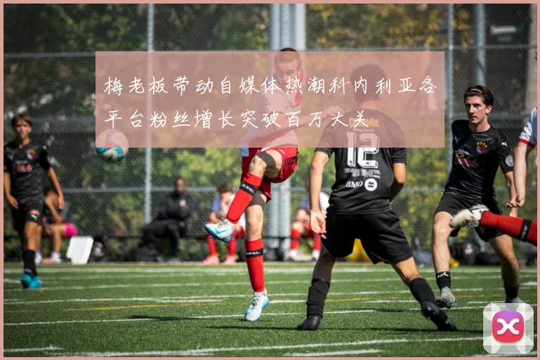梅老板带动自媒体热潮科内利亚各平台粉丝增长突破百万大关