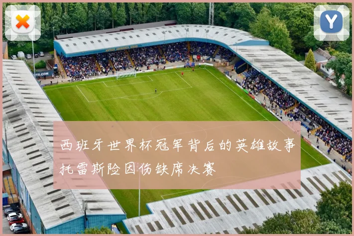 西班牙世界杯冠军背后的英雄故事托雷斯险因伤缺席决赛