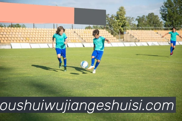 数据防护可视化